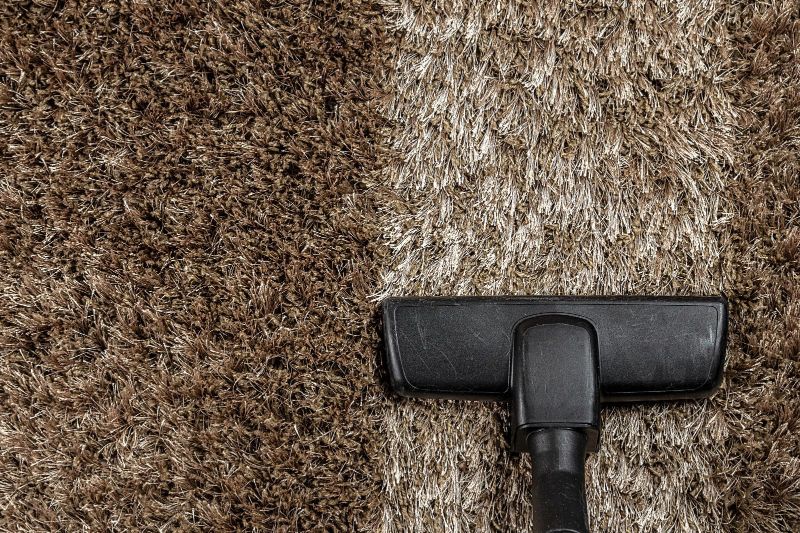 Carpet Cleaning for Allergy Relief and a Fresh Look
