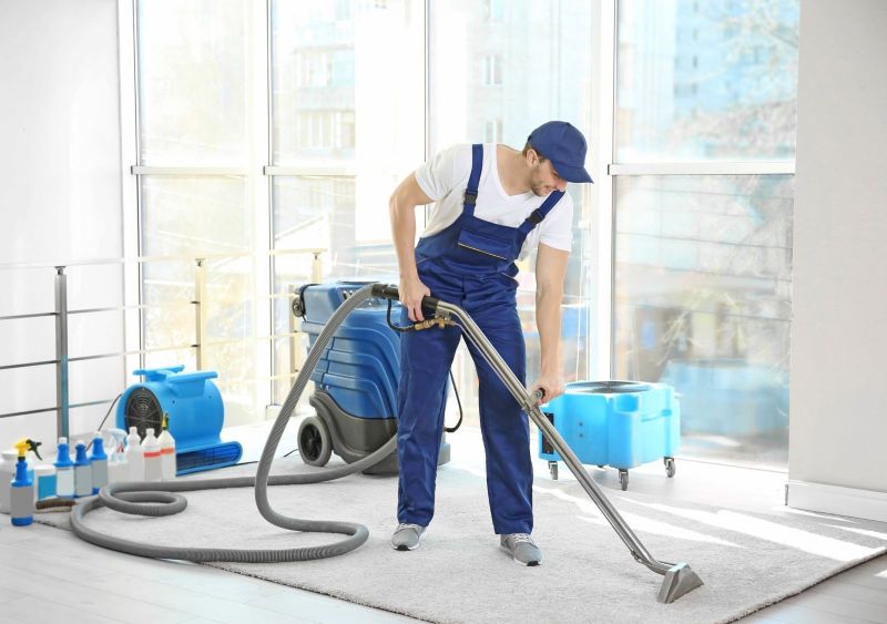 Revitalize Your Carpets with Professional Cleaning Services