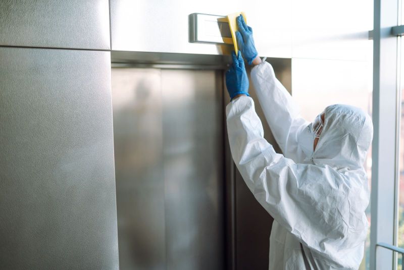 Mold Damage Remediation: Protecting Your Health and Property